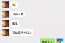 呼玛企业清欠服务